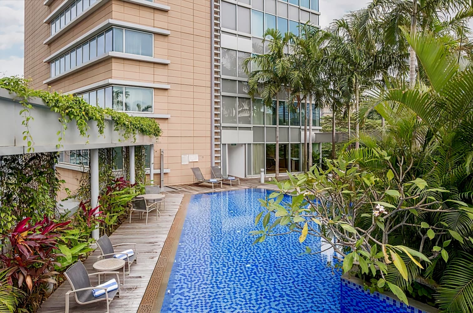 新加坡柏薇羅切斯特酒店