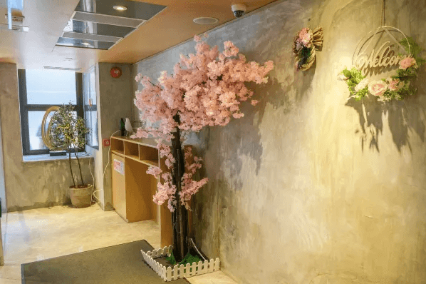 丹木町酒店 ( Tankityou Hotel )