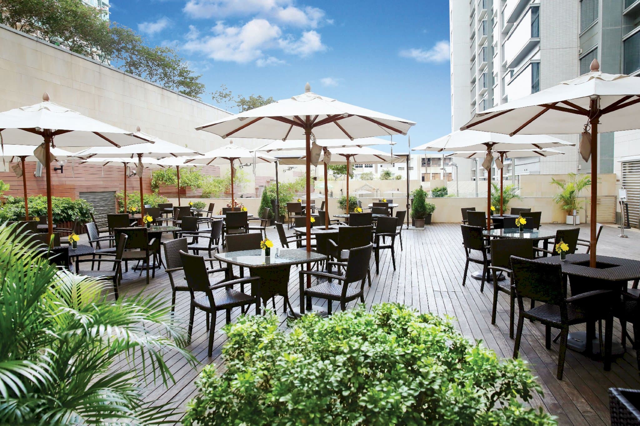 8度海逸酒店（ Harbour Plaza 8 Degrees ）