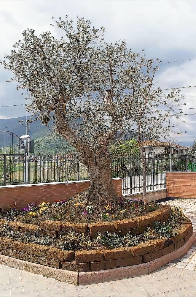 Hotel San Giorgio
