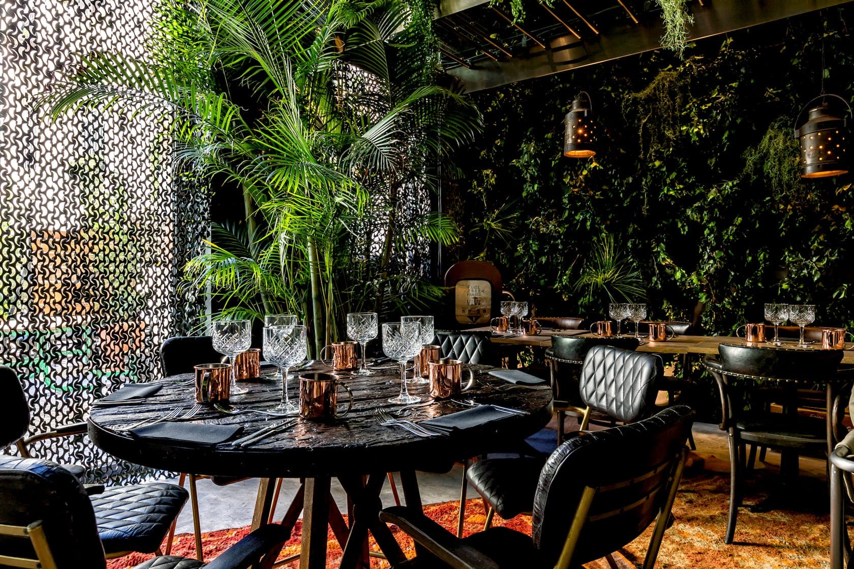 歲歲重陽,今又重陽