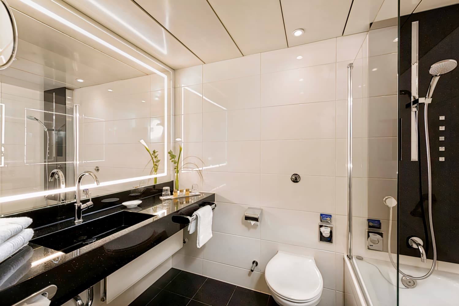 Maritim Hotel Bonn