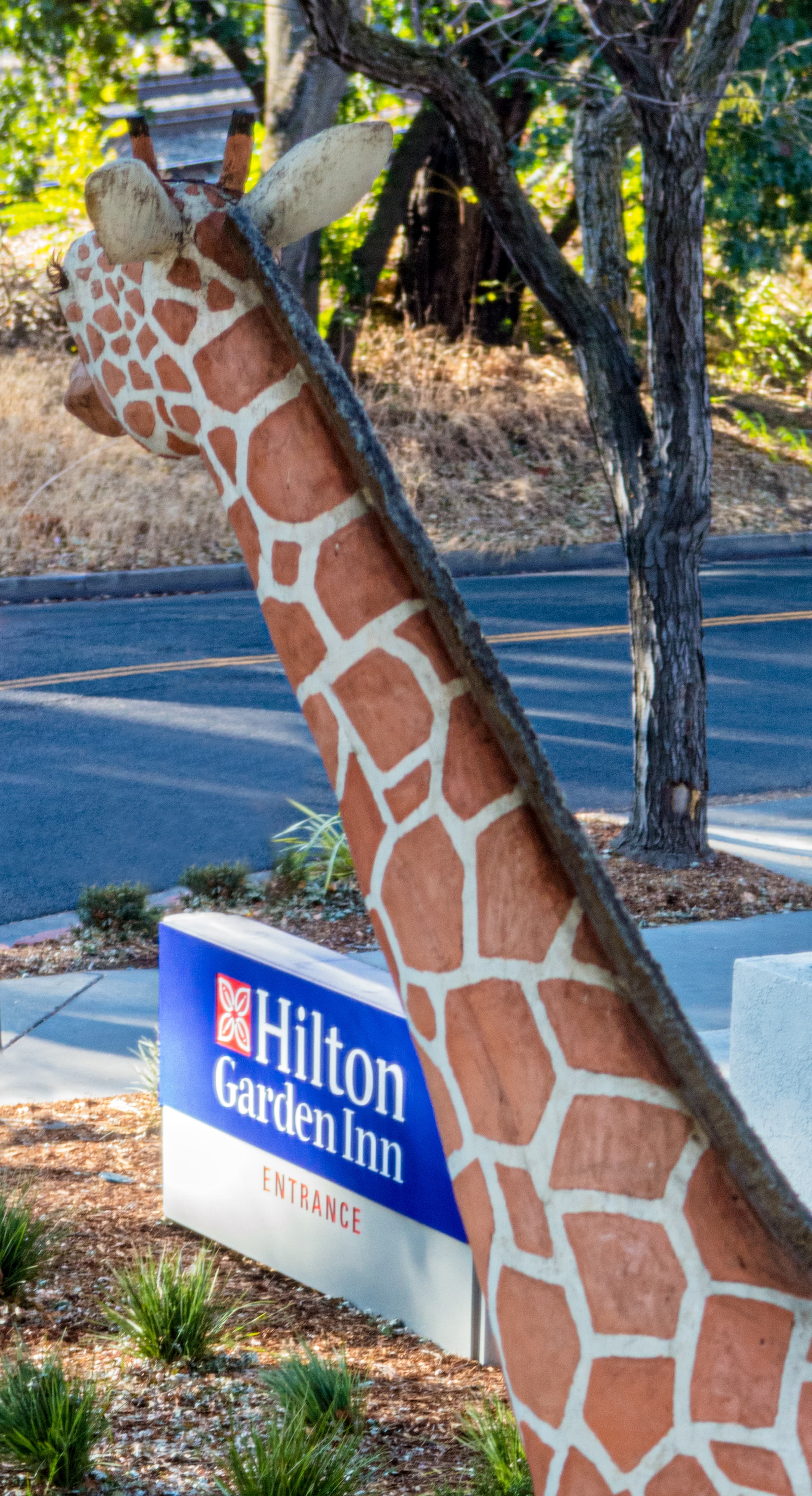 Hilton Garden Inn Davis Downtown