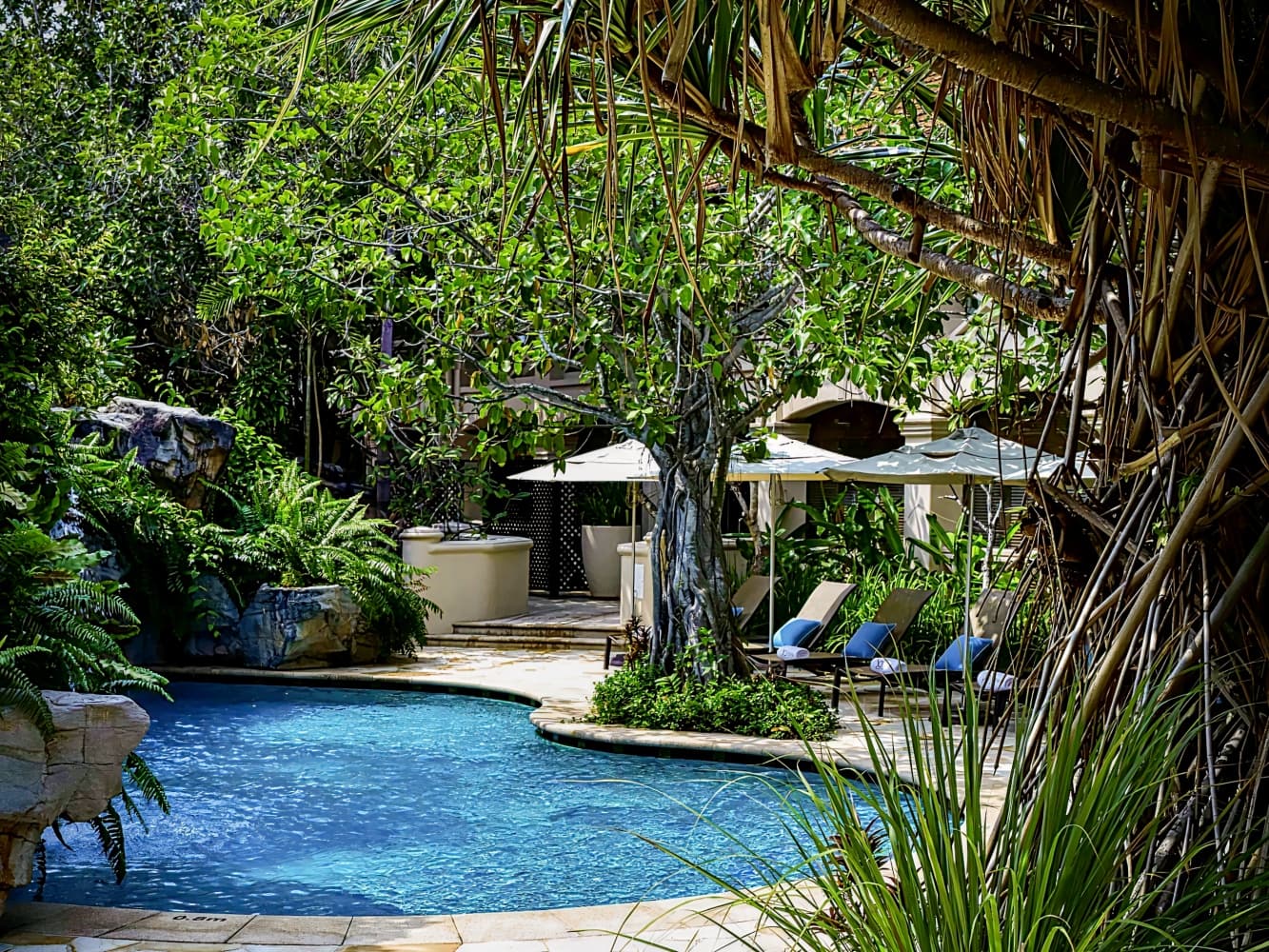 新加坡圣淘沙索菲特水疗度假酒店