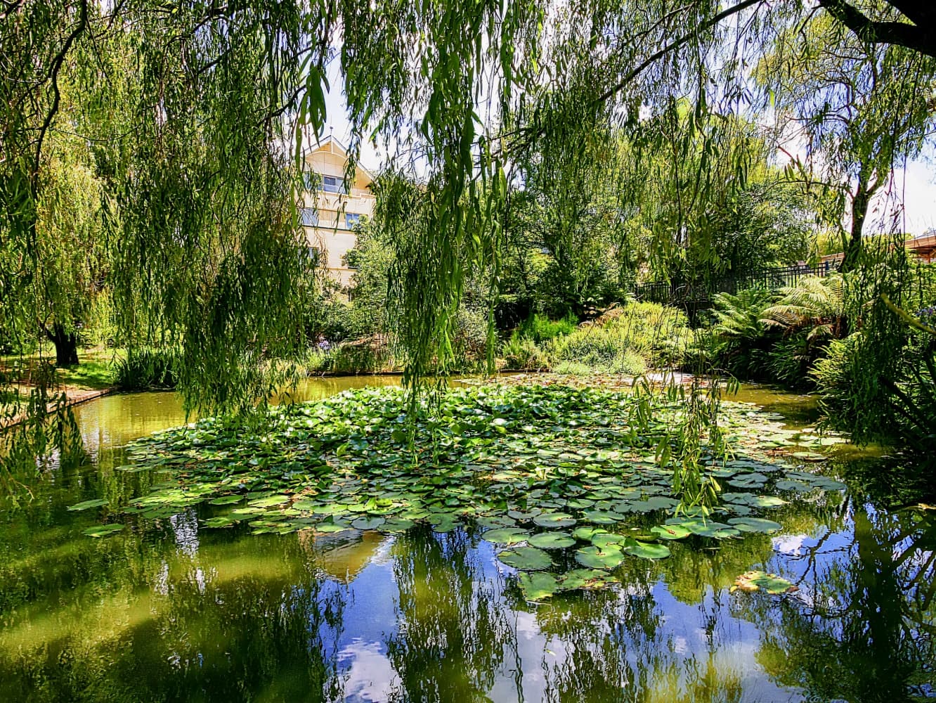 Fairmont Resort Blue Mountains, MGallery