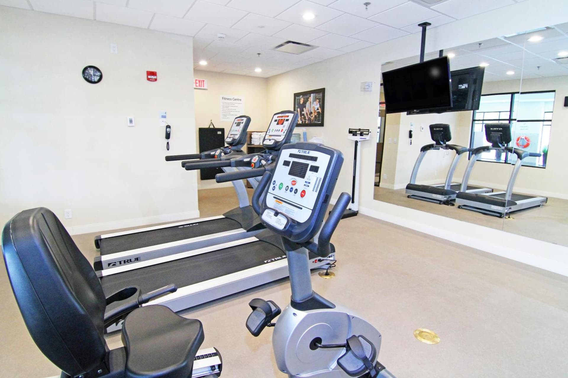 Holiday Inn Express & Suites Calgary University