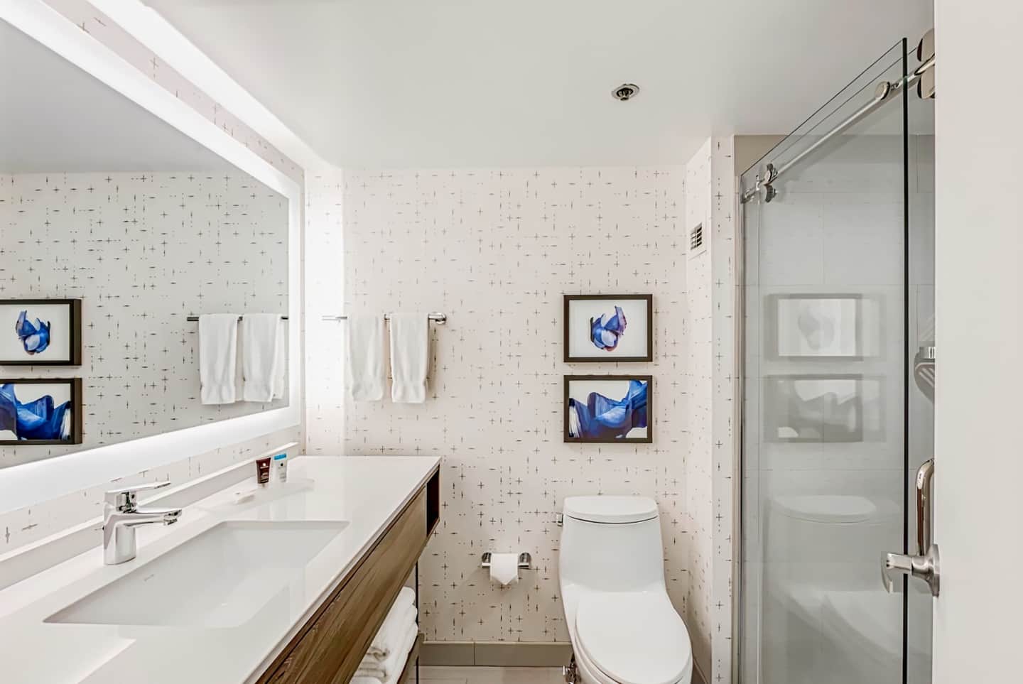Crowne Plaza Suites Arlington - Ballpark - Stadium