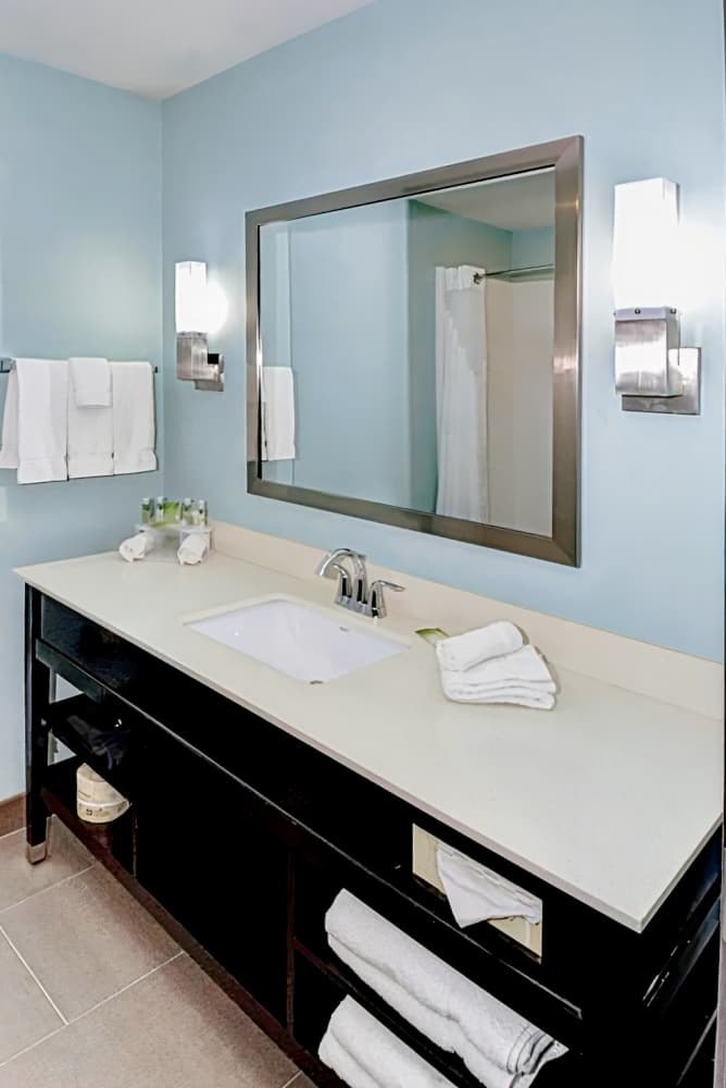 Holiday Inn Express & Suites Austin South