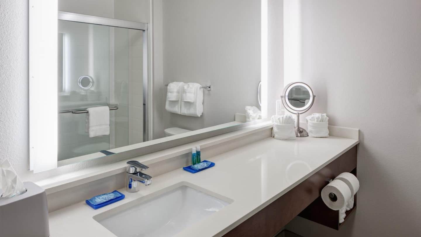 Holiday Inn Express & Suites Orlando At Seaworld, an IHG Hotel