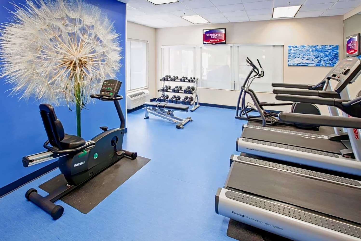 SpringHill Suites Indianapolis Carmel