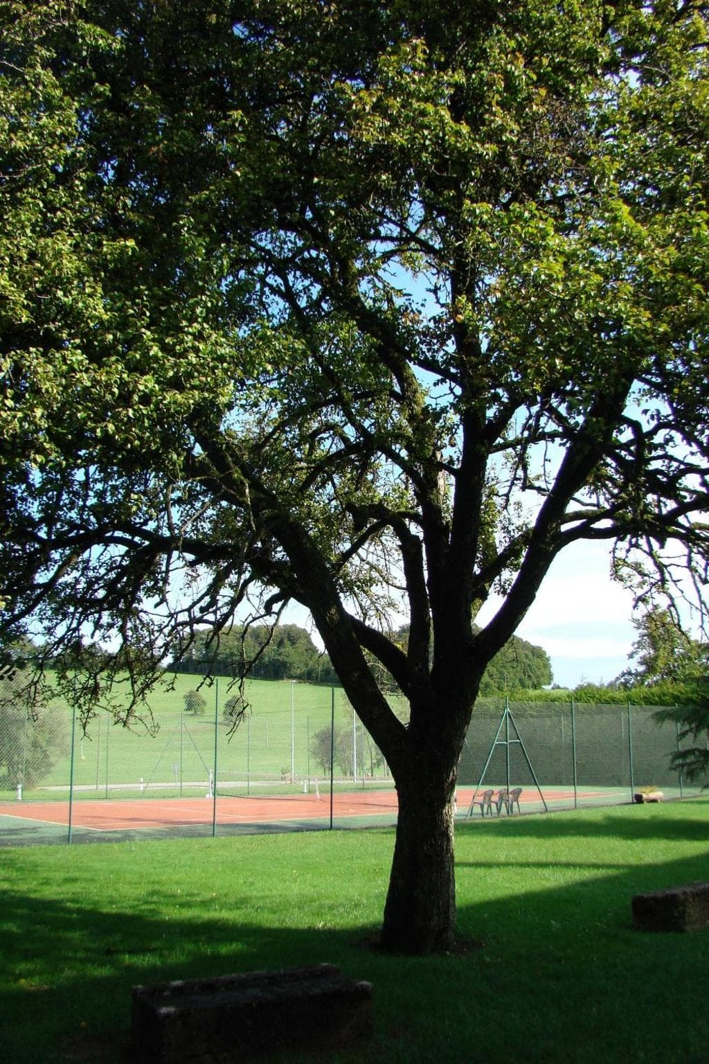 The Originals Rey du Mont Sion