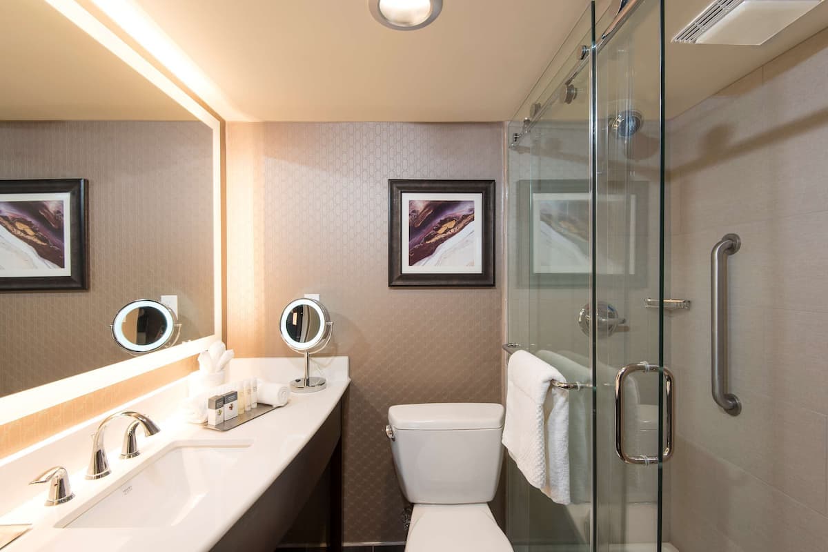 DoubleTree by Hilton Schenectady