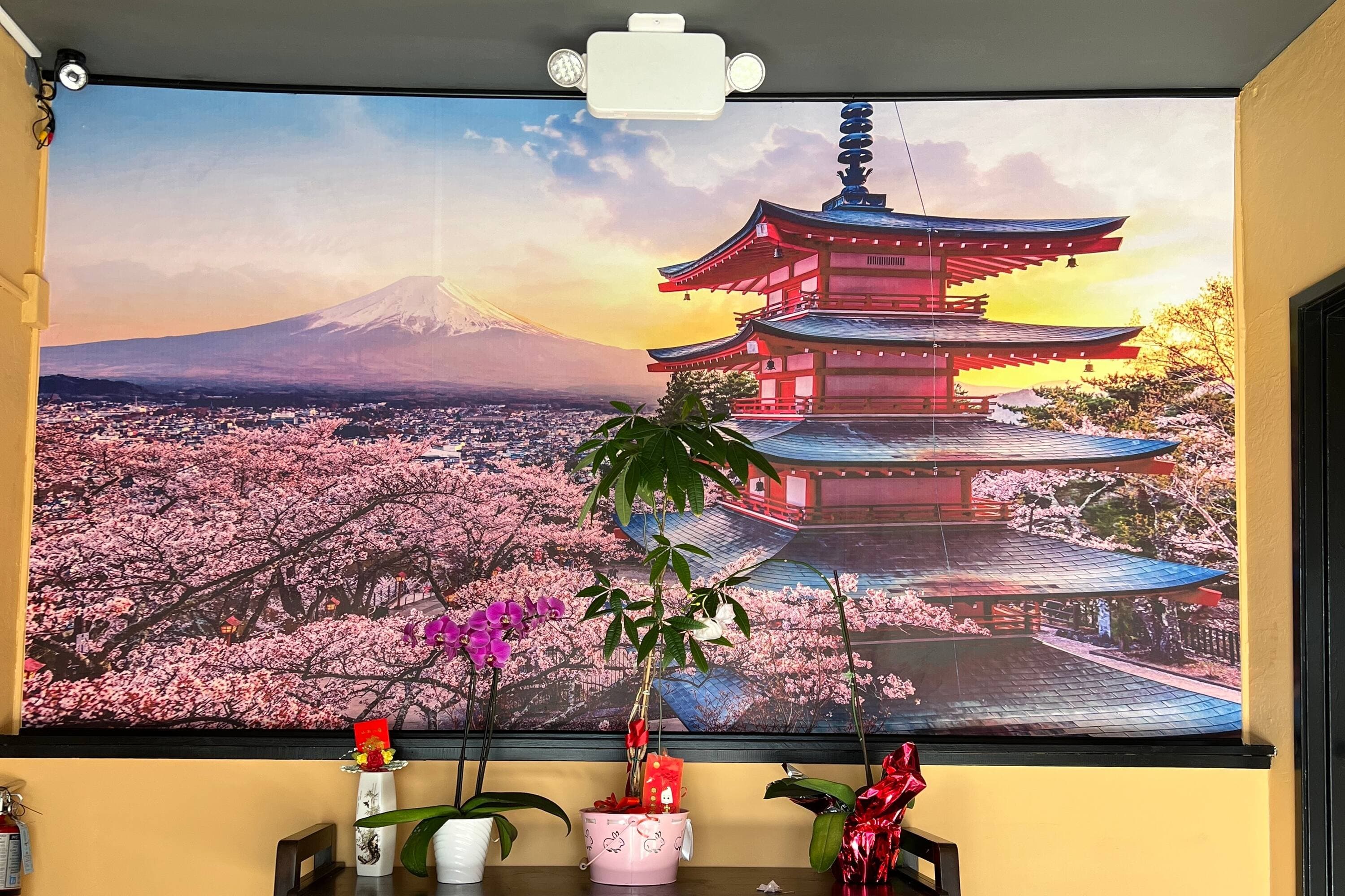 La Quinta Inn & Suites by Wyndham San Francisco Airport West