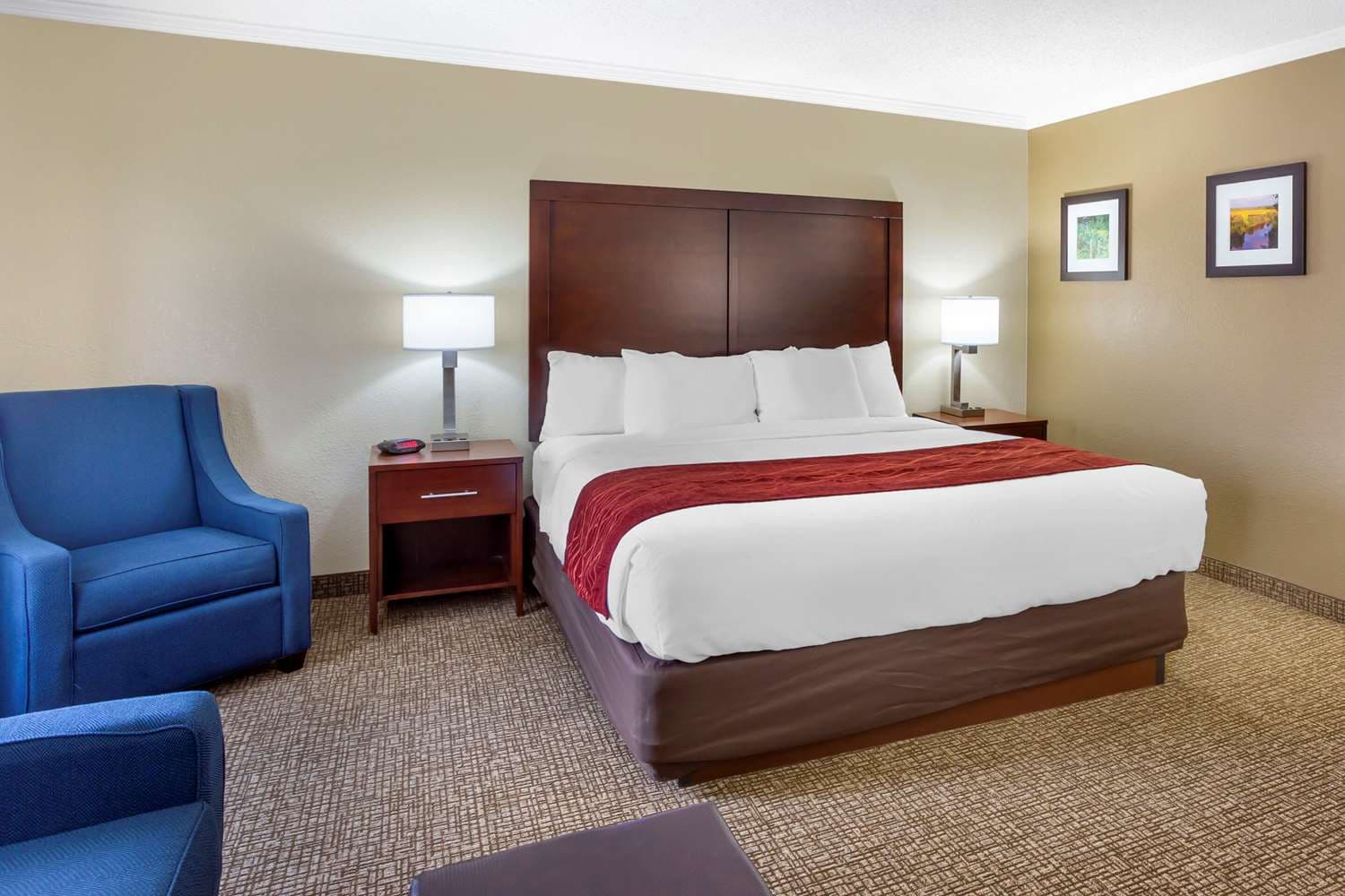 Comfort Inn & Suites Arlington Heights - Schaumburg