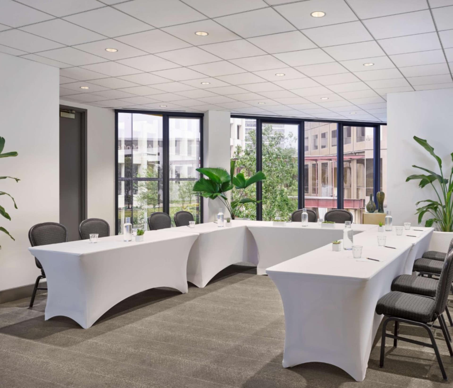 C. Baldwin, Curio Collection by Hilton