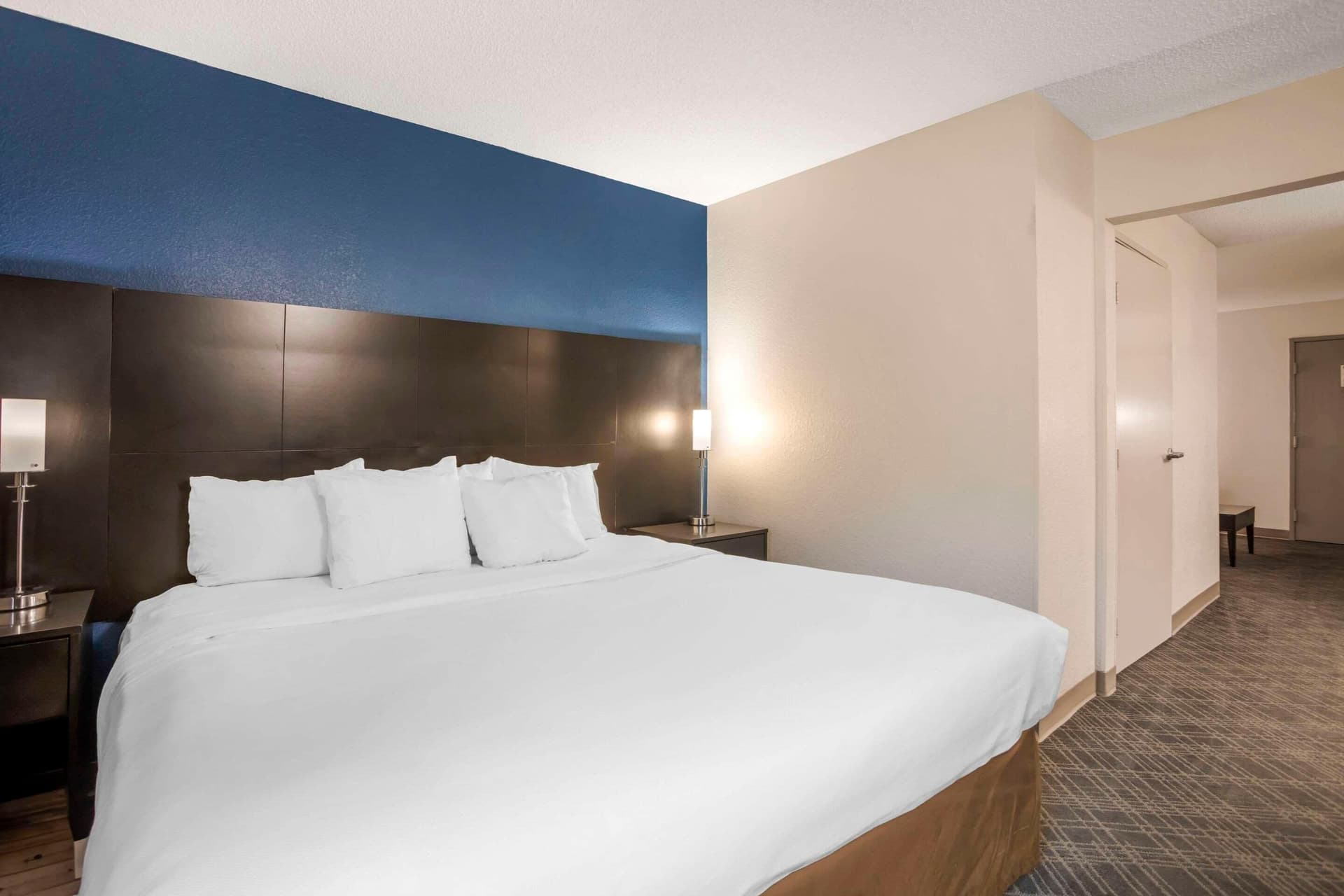 Comfort Suites Nashville Airport - BNA