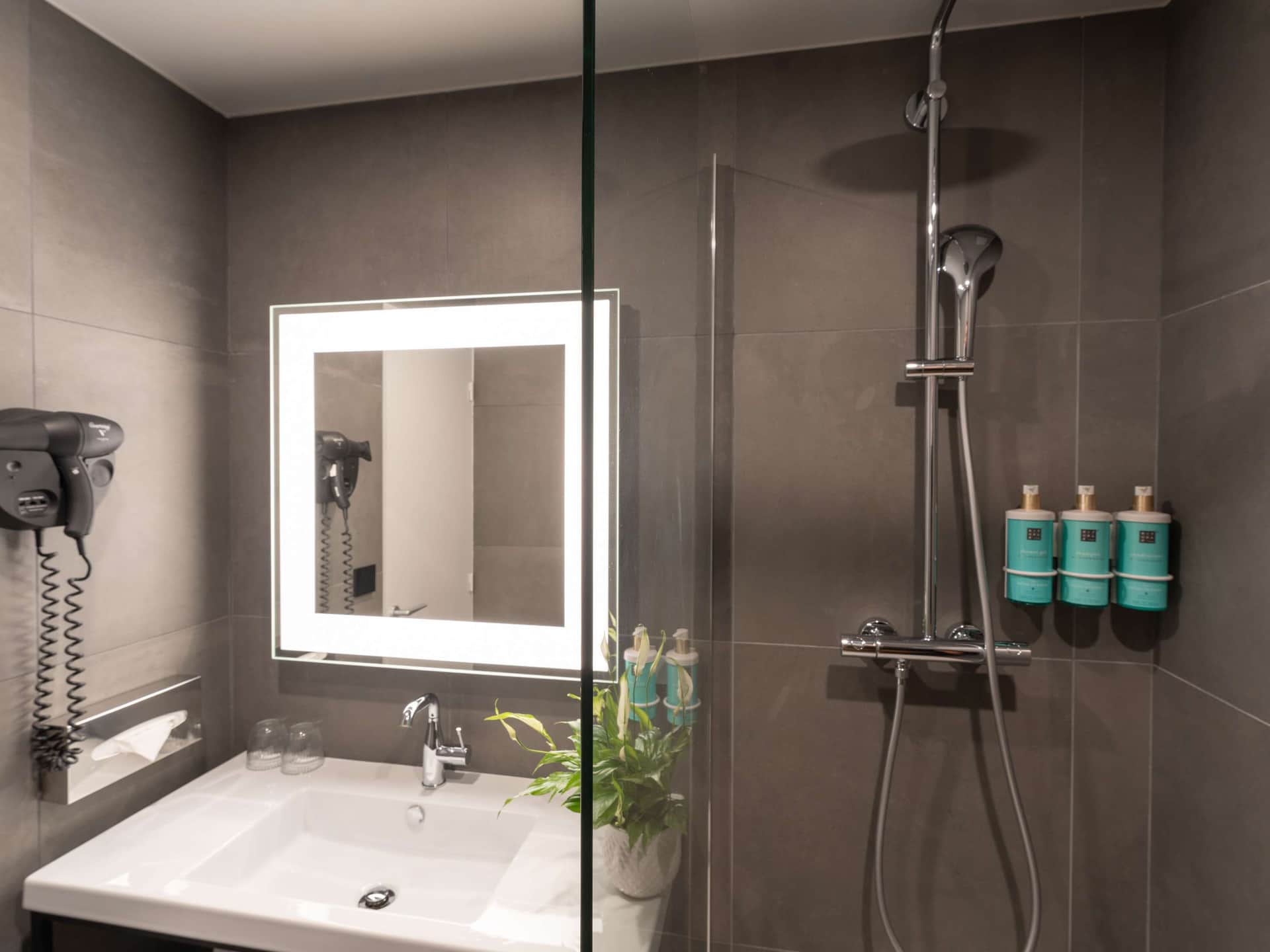 Novotel Angers Lac de Maine