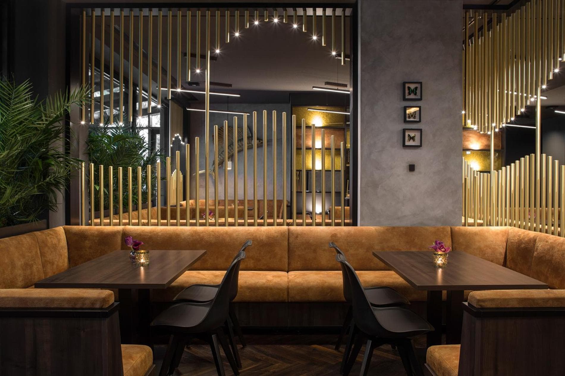 ZOE by AMANO Group